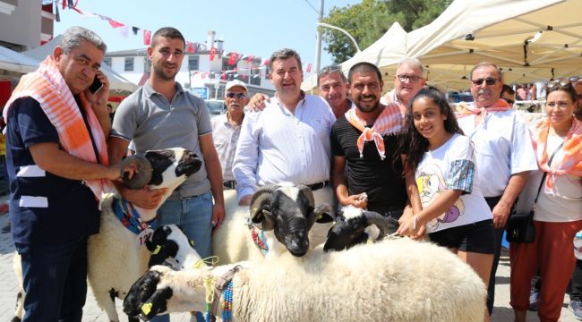 Çeşme’de “Sakız Koyunu Festivali” Çıkarması