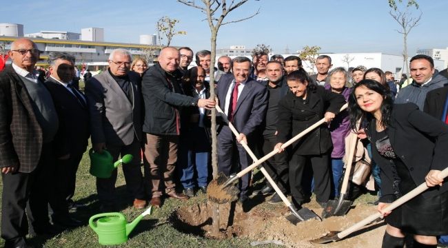 Konak'tan engel tanımayan fidan dikimi