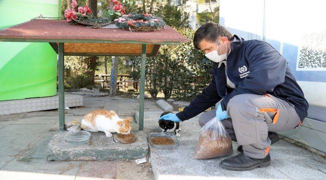 Gaziemir’de can dostlar unutulmadı