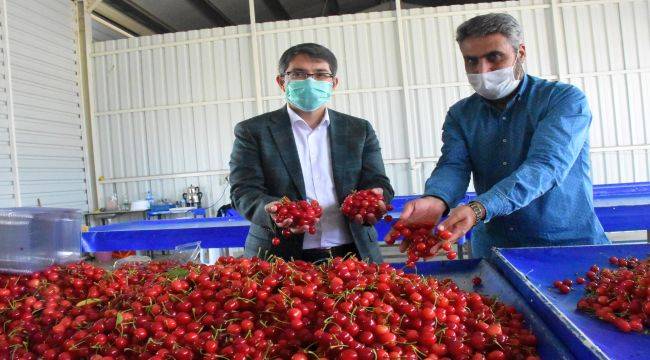  “Kiraz Pazarı örnek bir projedir”