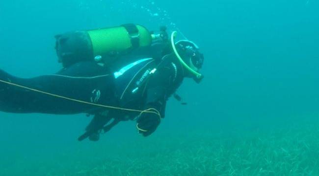 İzmir İtfaiyesi’nin dalgıçları Sarp'ı arıyor