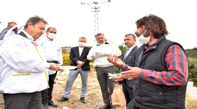 Bornova’da bal hasadı heyecanı