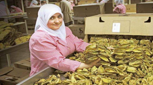 Dünya Çiftçiler Günü’nde Türk Tarımının Durum Tespiti