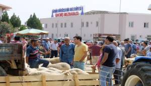 Ödemiş’te kurban satış ve kesim yerleri belli oldu