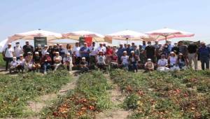 Kınık “Gönüllü Son Hasat Yayım Projesi'' Etkinliğine Ev Sahipliği Yaptı