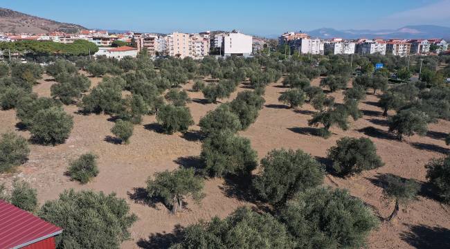 Başkan Koştu, “Zeytinpark yıldız gibi parlayacak”