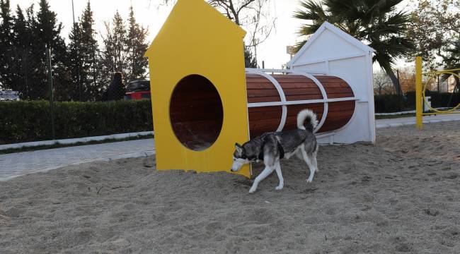 Gaziemir’de köpeklere özel park açıldı