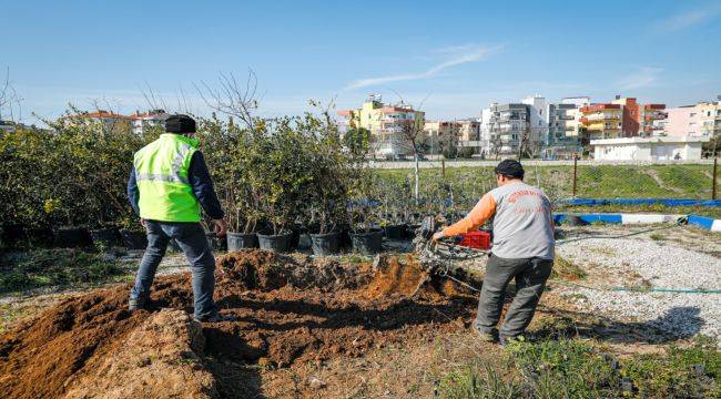 Seferihisar'da Dünya Çiftçiler Günü'nde Tohum Takas Şenliği