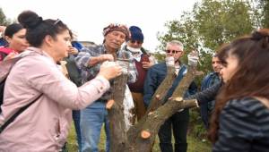 Bornova’da tarıma tam destek