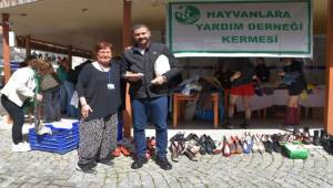 Foça Belediyesi sokak canları için kermes düzenledi