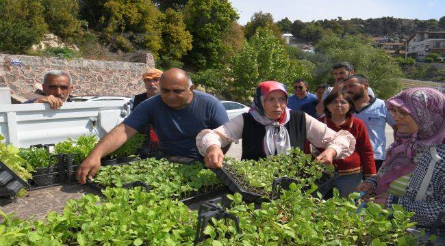 Tarıma 4,5 milyon “Atalık destek”