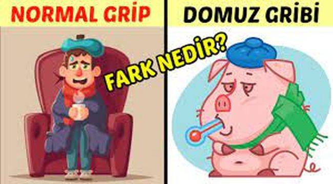 Domuz Gribi ve Soğuk Algınlığı Nasıl Ayırt Edilir?