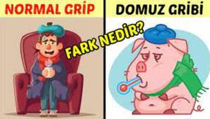 Domuz Gribi ve Soğuk Algınlığı Nasıl Ayırt Edilir?