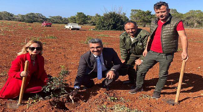 Çeşme Sakızının Kıbrıs’a Yolculuğu