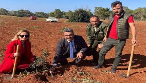 Çeşme Sakızının Kıbrıs’a Yolculuğu