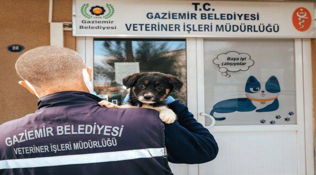 21 bin 940 cana veteriner sağlık hizmeti