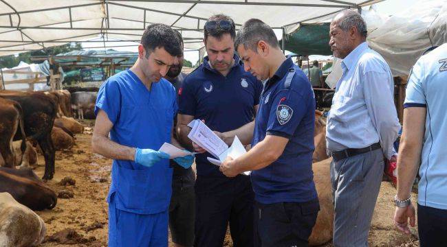 -Buca Belediyesi’nde Kurban Bayramı Mesaisi