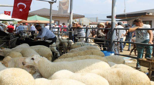 Ödemiş'te Kurban Satış Ve Kurban Kesim Yerleri Belli Oldu