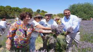 Seferihisar’da Mis Kokulu Festival