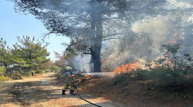 Çanakkale’deki yangına İzmir’den destek