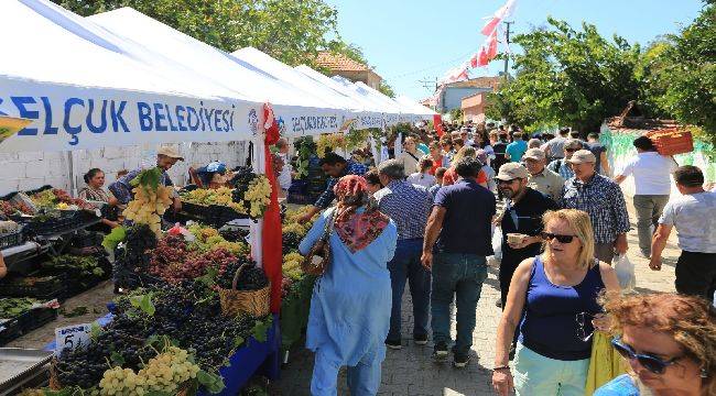 Efes Selçuk Gökçealan’da Üzüm Şenliği Var 