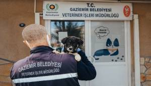  Gaziemir’de 27 bin 631 hayvana veteriner sağlık hizmeti