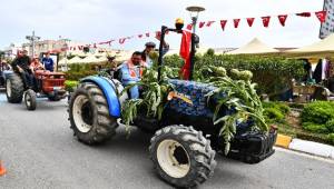 Urla Enginar Festivali İçin Geri Sayım Başladı