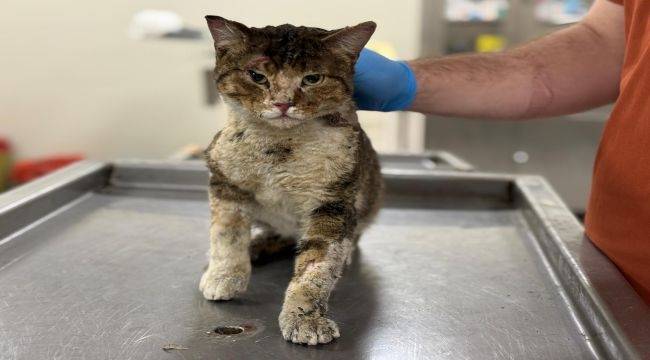 Çörekçi'nin Emanetlerine Büyükşehir Sahip Çıktı