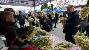 8. Karaburun Nergis Festivali başladı