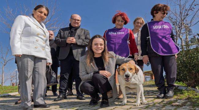 86 bin tedavi, 13 bin kısırlaştırma