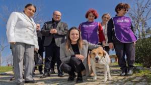 86 bin tedavi, 13 bin kısırlaştırma