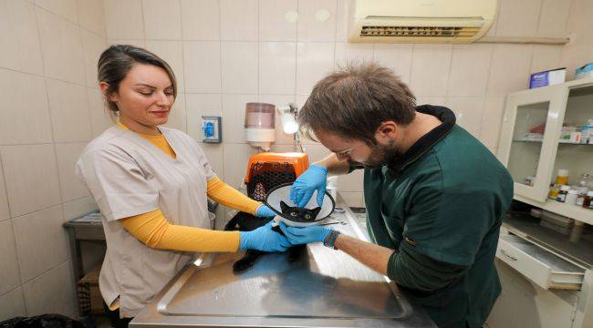 Gaziemir Belediyesi’nden can dostlara uzanan sevgi eli