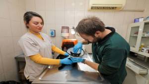 Gaziemir Belediyesi’nden can dostlara uzanan sevgi eli