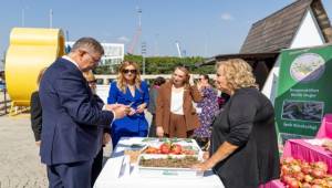 Menderes’te salep umudu