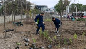 Betonun arasından orman çıktı
