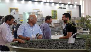 Zeytinin zirvesi İzmir’de kuruluyor