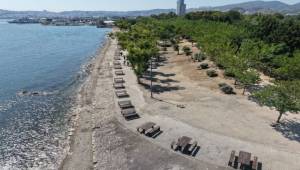 İzmir’in yeşil mirası İnciraltı Kent Ormanı yenileniyor